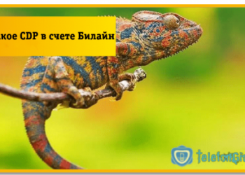 Что такое CDP в счете Билайн, как отключить?