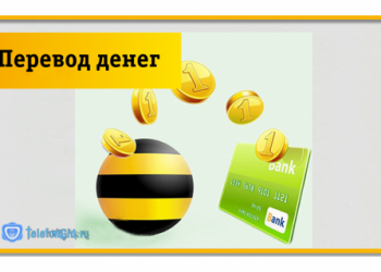 Перевод денег с Билайна на карту