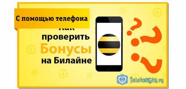 Как проверить бонусные баллы на Билайне и узнать остаток