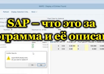 SAP – что это за программа, особенности и возможности софта