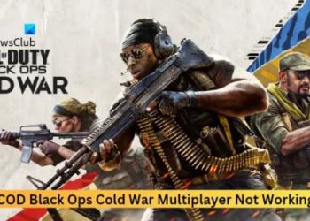 Многопользовательская игра COD Black Ops Cold War не работает