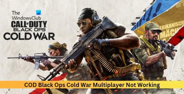  
Многопользовательская игра COD Black Ops Cold War не работает
