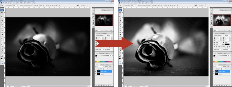  Как спасти затемнённую фотографию в Photoshop, осветлив её?