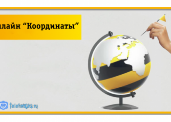 Услуга Билайн «Координаты»