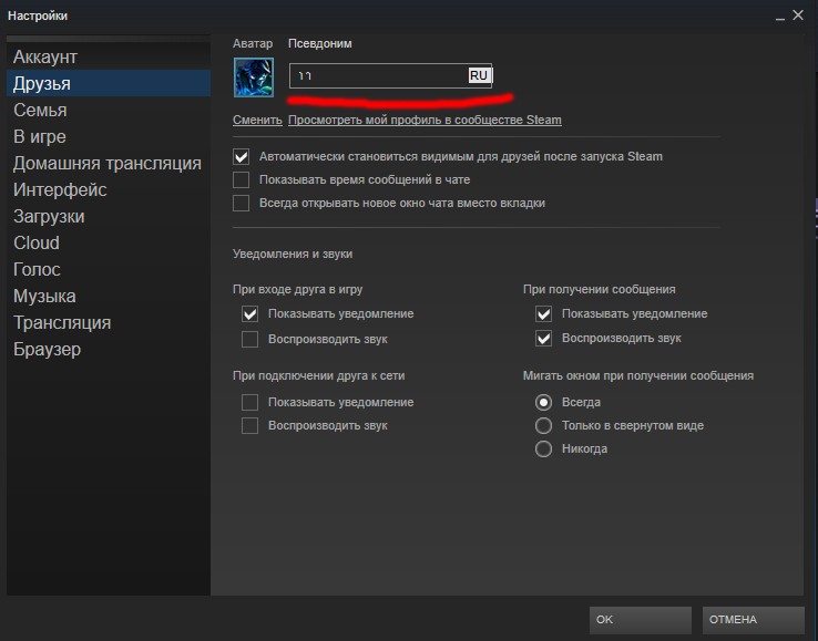 Настройки в стиме. Как зайти в настройки стим. Как настроить аккаунт в стиме. Ники для стим аккаунта.
