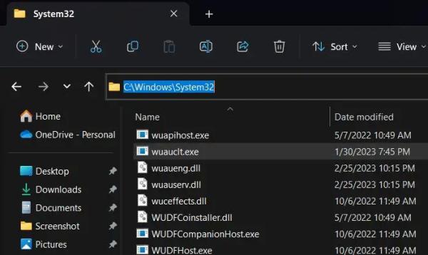  
Исправить wuauclt.exe, который не работает или не распознается в Windows 11/10