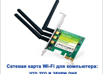 Сетевая карта Wi-Fi: виды, принцип работы и подключение