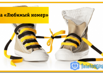 Услуга Билайн «Любимый номер»