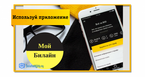 7 способов как проверить номер на Beeline