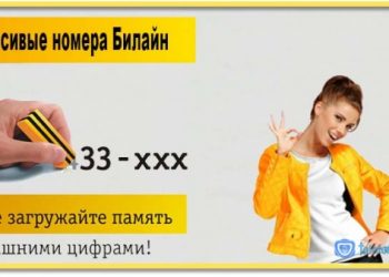 Сколько стоят и как купить красивые номера Билайн