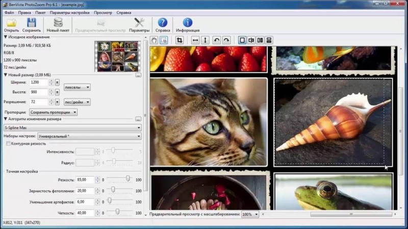  Рейтинг лучших программ для изменения размера фото без потери качества