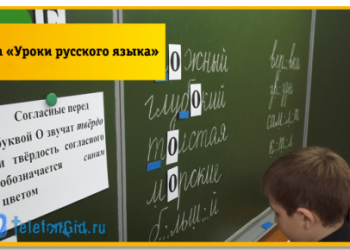 Как отключить услугу «Уроки русского языка» у оператора Билайн