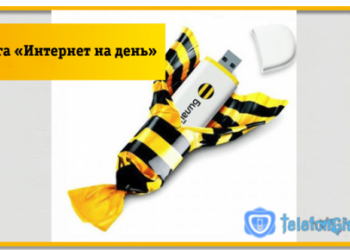 Услуга Билайн «Интернет на день»