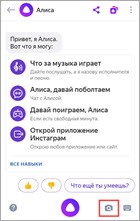 Определение цветов и растений