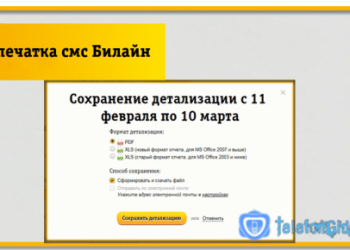 Как заказать распечатку смс Билайн
