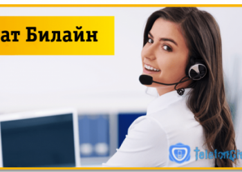 Чат Билайн — техподдержка специалиста