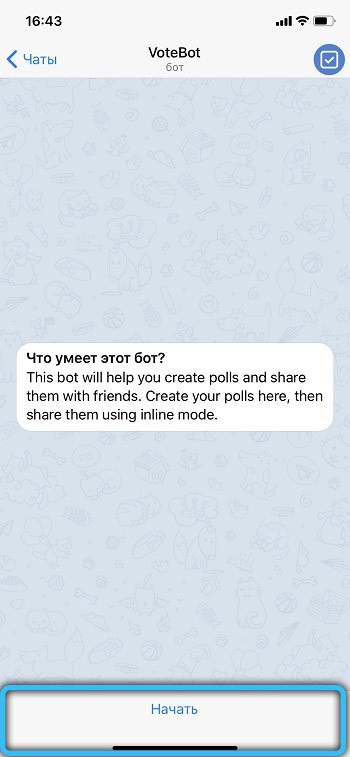  Как установить голосование и опросы в Telegram