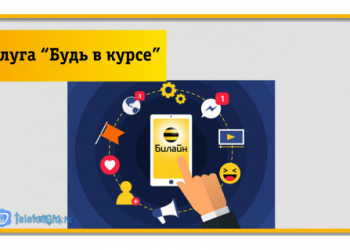 Услуга Билайн «Будь в курсе»