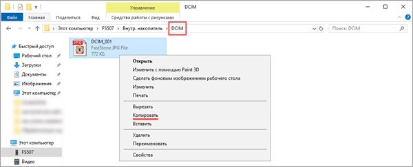 Определение цветов и растений