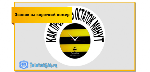 5 способов как узнать на Билайне остаток минут