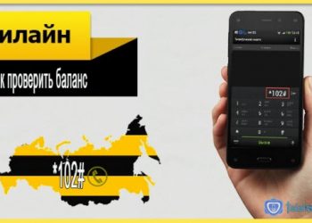 Как проверить баланс Билайн