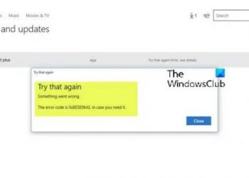 Исправить ошибку 0x8E5E0643 Microsoft Store