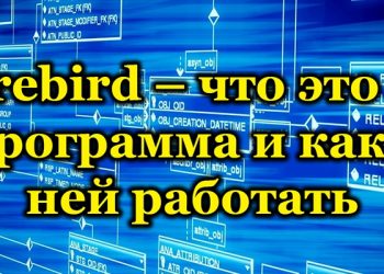 Firebird – что это за программа и как с ней работать