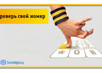 7 способов как проверить номер на Beeline