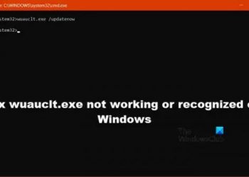 Исправить wuauclt.exe, который не работает или не распознается в Windows 11/10