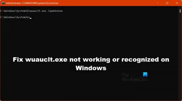  
Исправить wuauclt.exe, который не работает или не распознается в Windows 11/10