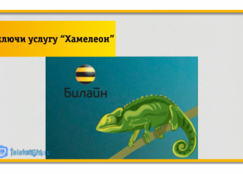 Как отключить услугу «Хамелеон» на Билайне