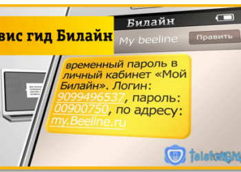 Как зайти в сервис гид Билайн
