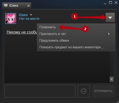  Звонки друзьям через Steam