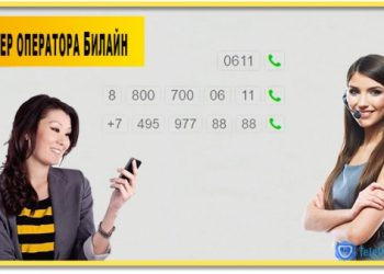 Номер оператора Билайн
