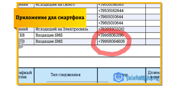 Детализация (распечатка) СМС сообщений в Билайн