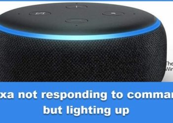 Alexa не отвечает на команды, но светится
