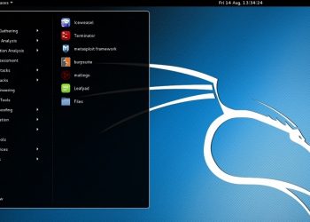 Установка ОС Kali Linux на флешку