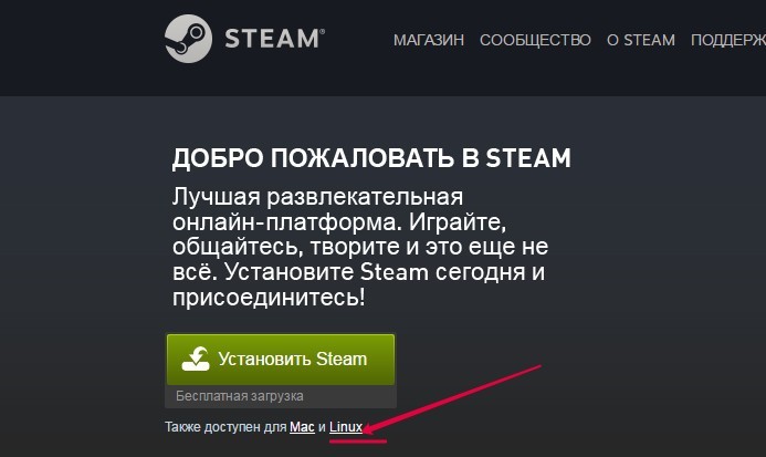  Установка Steam в Ubuntu