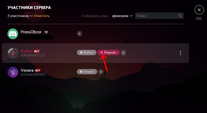  Управление ролями в Discord