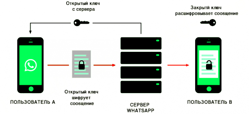  Как в WhatsApp отключить сквозное шифрование