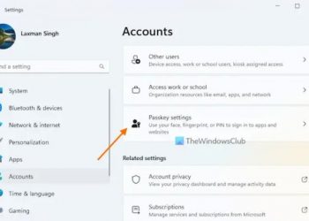 Удалить сохраненные пароли для приложений и веб-сайтов на ПК с Windows 11