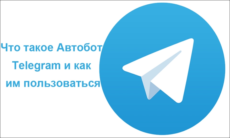  Автобот в Telegram: что умеет и как пользоваться
