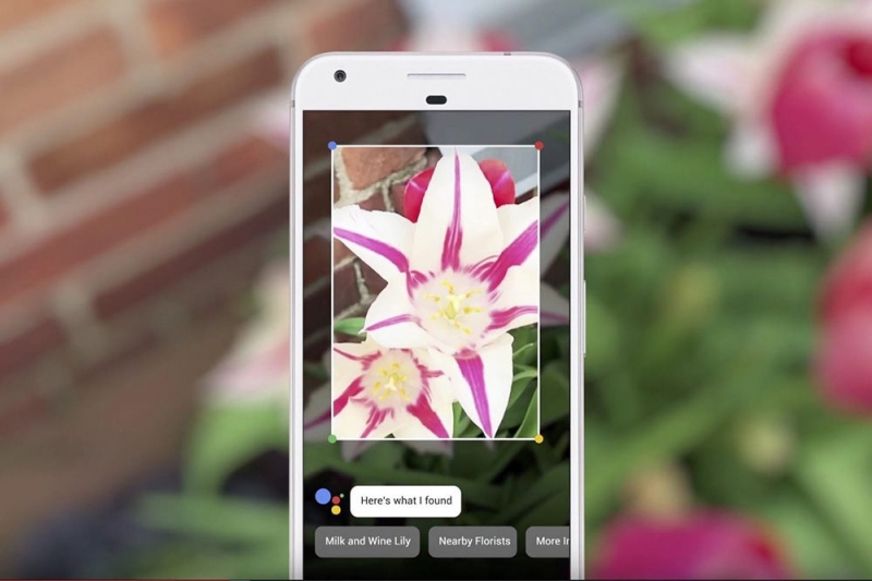  Что такое Google Lens и как пользоваться сервисом на Android и iOS