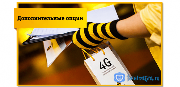 Тарифы на мобильный интернет Билайн 4G