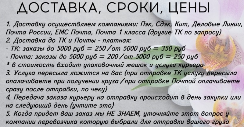  Особенности покупок в интернет-магазине «Садовод»