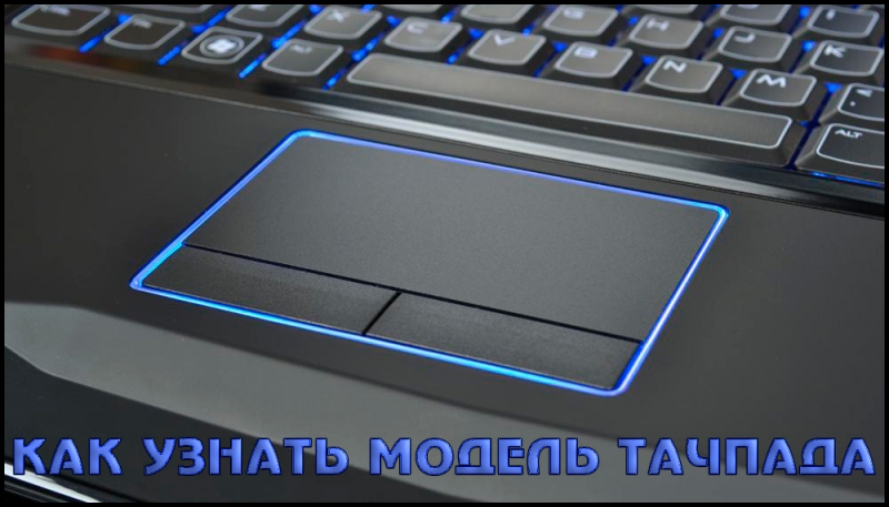 Какой тачпад на ноутбуке установлен