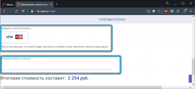  Особенности покупок в интернет-магазине «Садовод»