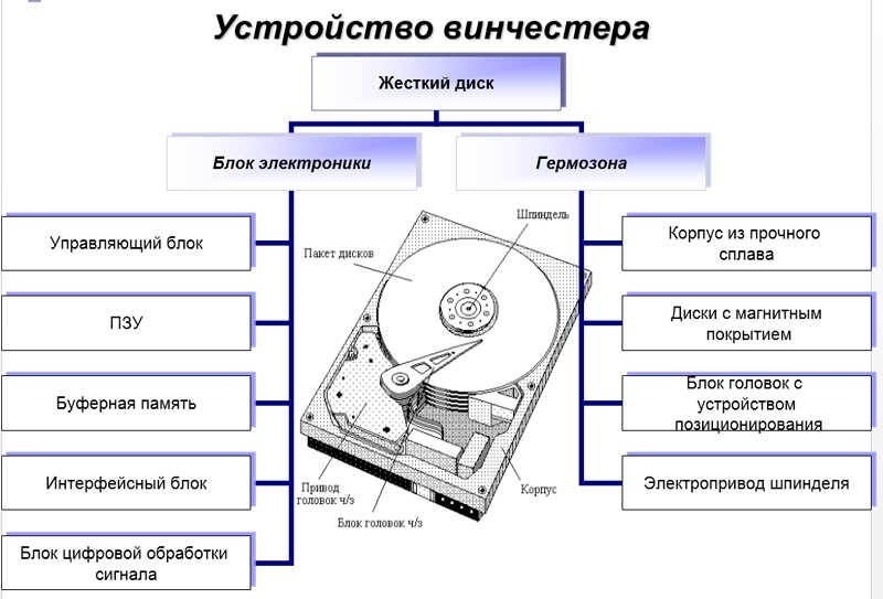  Особенности выбора жёсткого диска для ПК