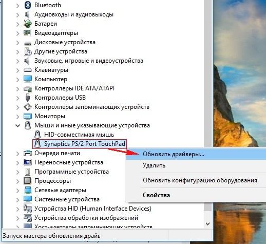  Отображение тачпада в диспетчере устройств