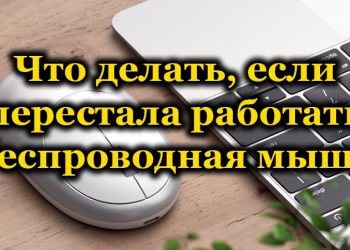 Как вернуть в рабочее состояние беспроводную мышь